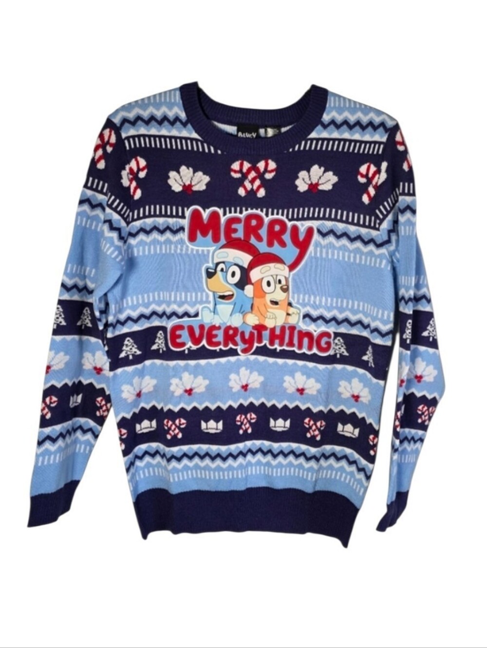 Bluey Merry Everything Ugly Christmas Sweater Holiday Knit Cartoon Pullover S